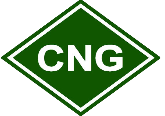 png-cng-under-gst