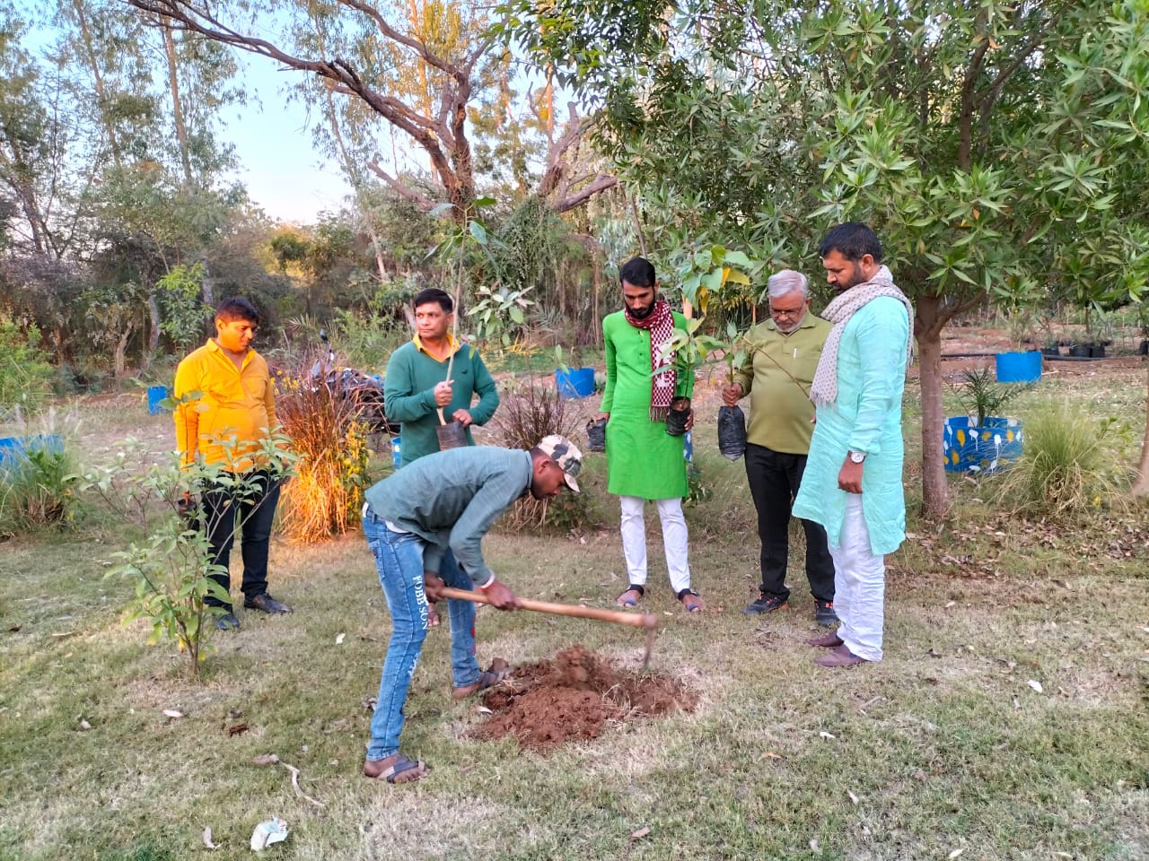 14022022-mehsana-tree-plantation-movement