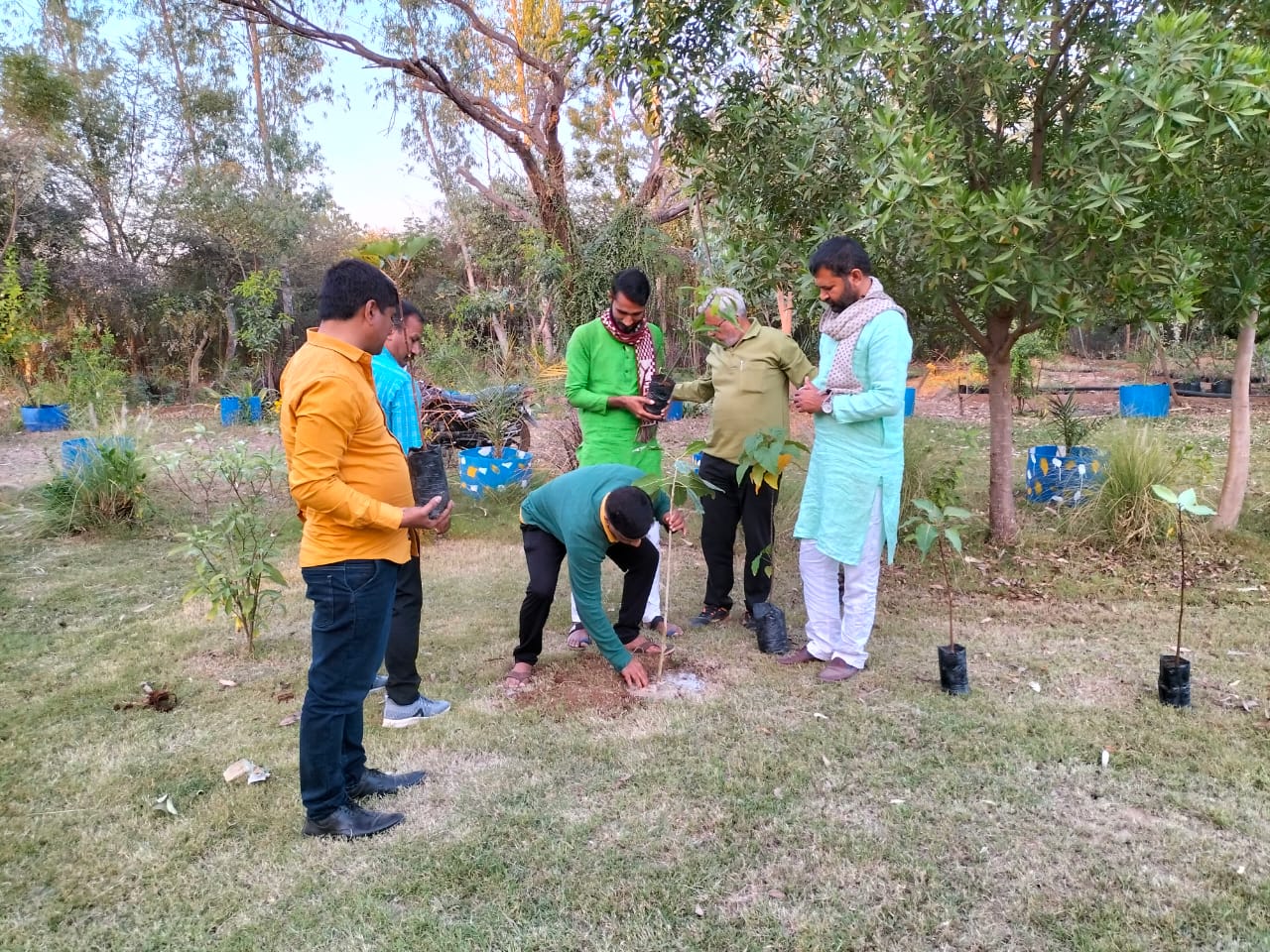 મહેસાણા  : ગુજરાતમાં ખેડૂતોના ખેતરના શેઢે વૃક્ષારોપણ માટે ઓફિશિયલ સંસ્થા લોન્ચ 