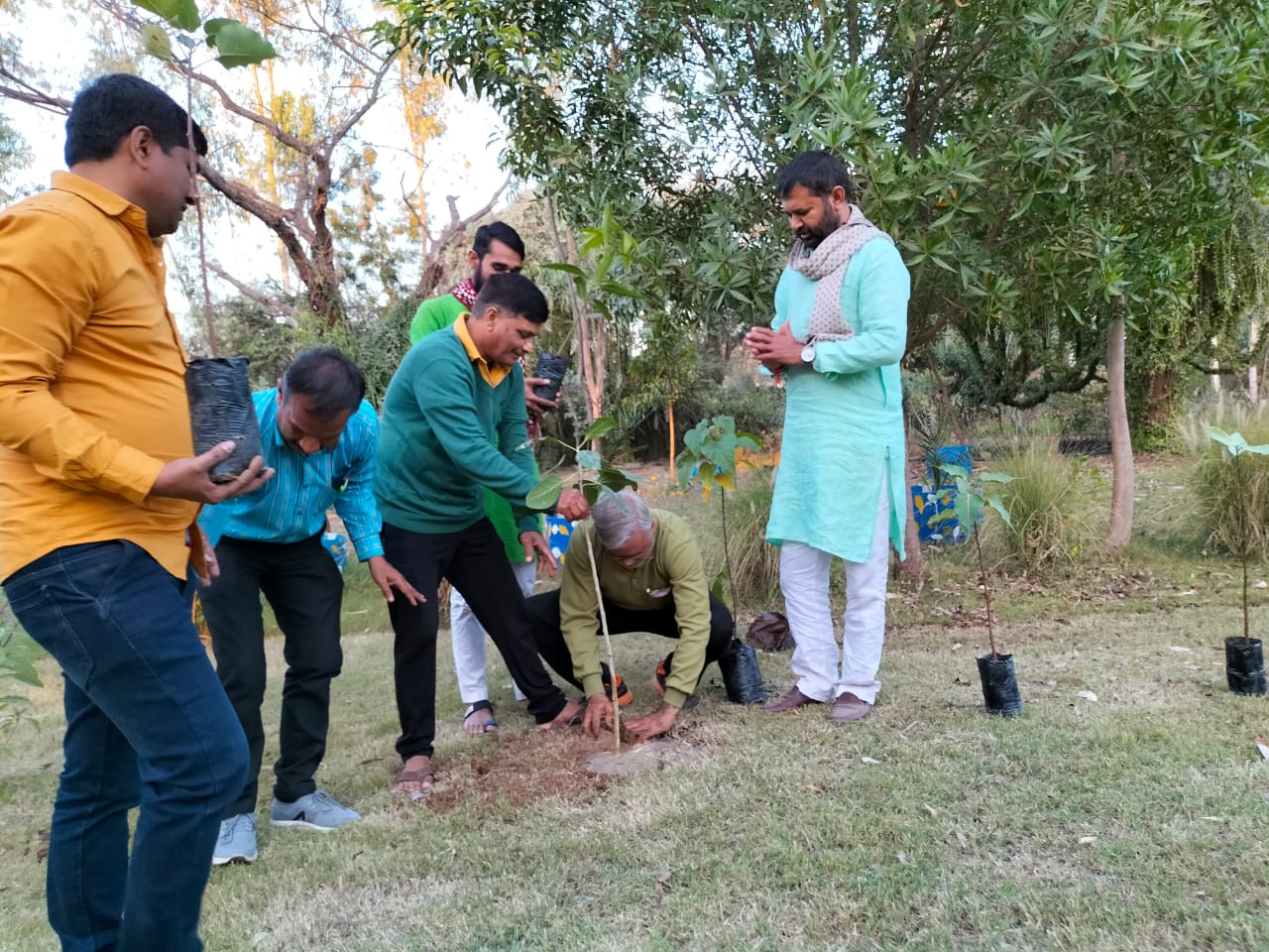 મહેસાણા  : ગુજરાતમાં ખેડૂતોના ખેતરના શેઢે વૃક્ષારોપણ માટે ઓફિશિયલ સંસ્થા લોન્ચ 