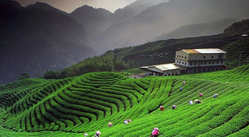 15122025-10-must-visit-places-in-kausani